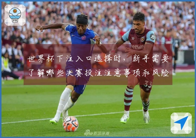 世界杯下注入口选择时，新手需要了解哪些决赛投注注意事项和风险？