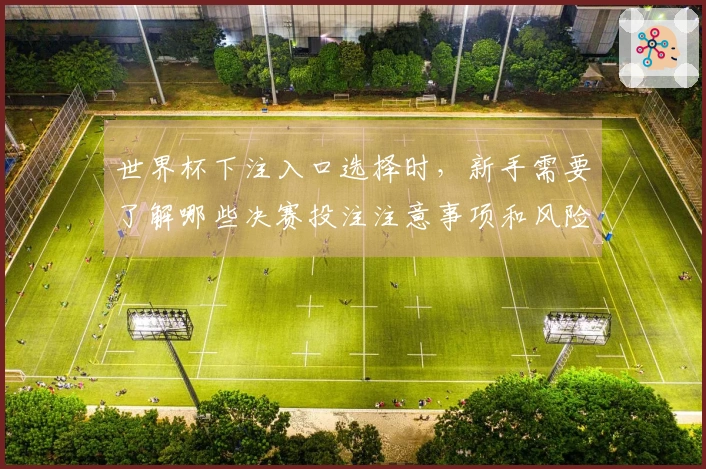 世界杯下注入口选择时，新手需要了解哪些决赛投注注意事项和风险？